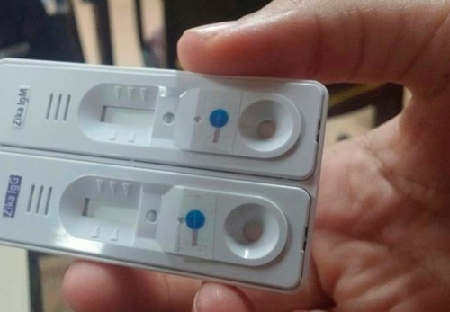 지카 바이러스 감염 여부를 신속하게 확인할 수 있는 진단키트 '테스치 하피두'