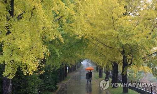 충북 추위 몰고 오는 가을비…주말 기온 뚝 - 1