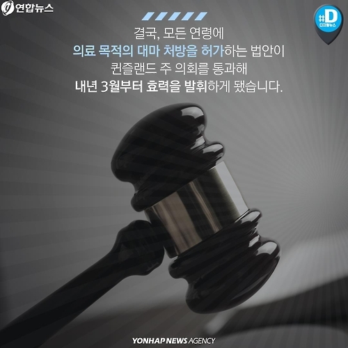 <카드뉴스> 독초? 약초? 각국 의료용 대마 합법화 논란 - 5