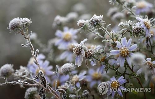 경남 올가을 들어 가장 추운 날씨…지리산 영하 1도 - 1