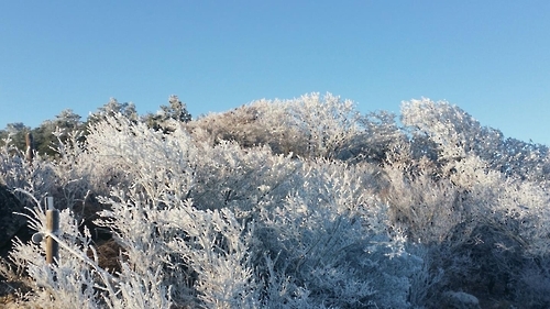 지리산에 핀 '상고대'