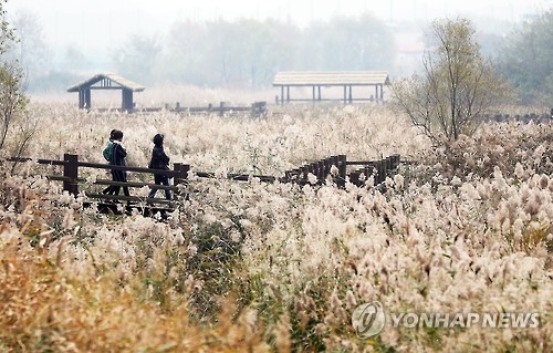충북 흐리지만 포근한 주말…큰 일교차 주의 - 1
