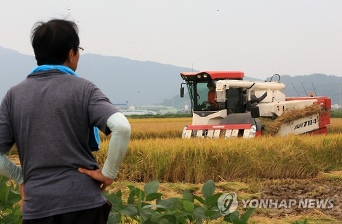 쌀값 폭락 걱정하는 농심.