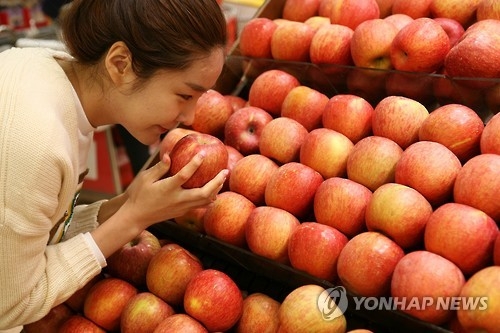 비만ㆍ당뇨 예방하는 사과 나온다…뉴질랜드서 내달 첫 수확 - 1