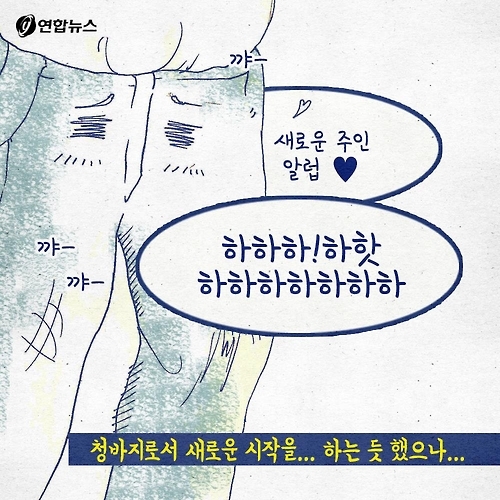 <카드툰> 청바지의 '이력'이 궁금한 이유 - 와이콜센터 - 11