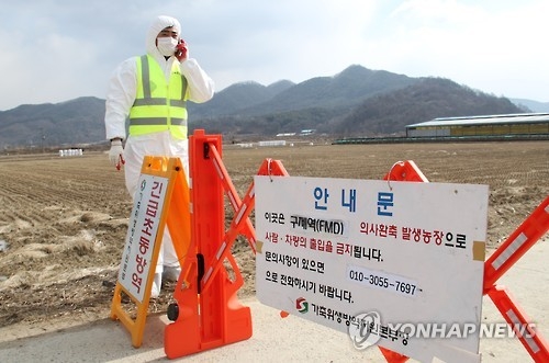 충북 보은 추가 구제역 의심 소 '양성'…전국 5번째 - 1
