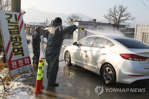충북 우제류 이동금지 오늘 해제…'구제역 진앙' 보은 제외 - 1