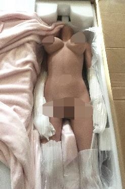 세관에 압수된 성인용 전신인형