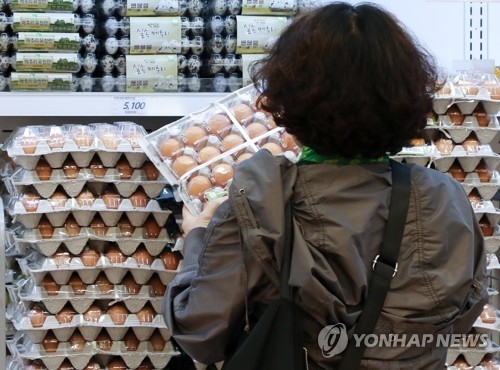 다시 치솟은 계란값 [연합뉴스 자료사진]