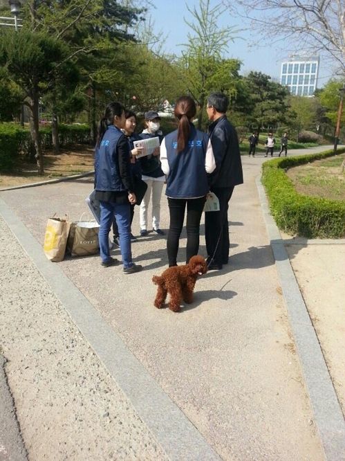 "공원·생활 에티켓 어기면 과태료"…애완견 목줄 등 단속 - 1