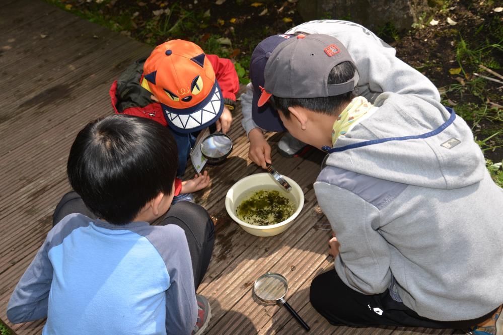 한라생태숲 주말생태체험 프로그램