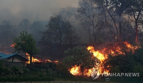연휴 막바지 이틀간 전국서 산불…축구장 240배 산림 잿더미 - 1