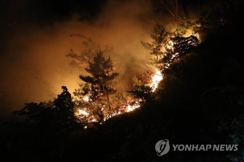 하루 3~4번 화마 덮쳐 몸살…봄철 바짝마른 산 '화약고'(종합) - 1