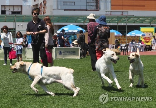 신난 견공들