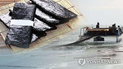 경기도 김 생산 역대 최대…1가구당 4억4천만원 소득 - 1
