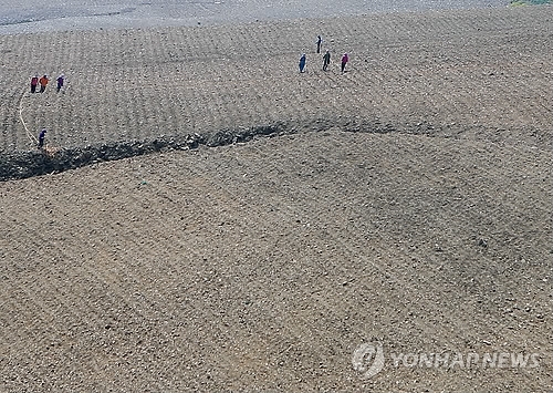 태백 매봉산 고랭지 배추 재배단지