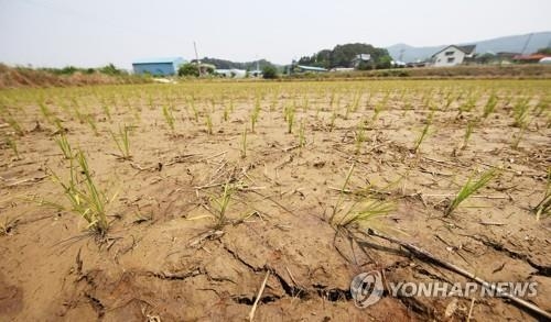 말라가는 논