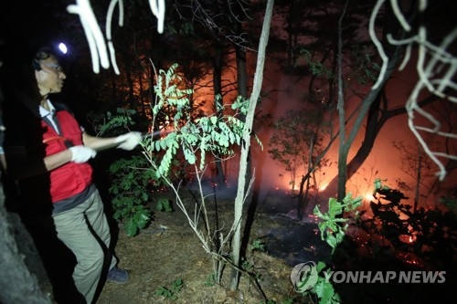 '산불을 잡아라'(서울=연합뉴스) 김도훈 기자 = 2일 오전 대형 산불이 난 서울 노원구 수락산에 소방 및 구청 관계자들이 진화작업을 벌이고 있다. 2017.6.2photo@yna.co.kr(끝)