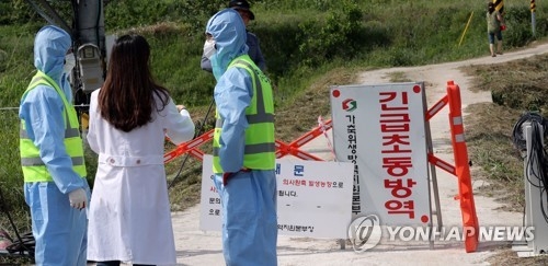 군산 오골계 농가서 AI 의심축 발생