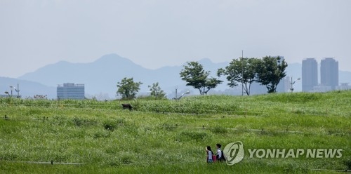 맑은 날씨