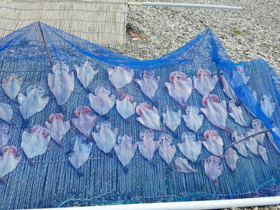 넓게 펼쳐서 말린 열기