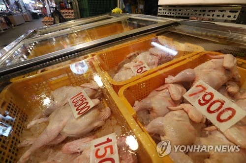 AI 사태로 닭고기 수출길 막혀…삼계탕 中 수출도 중단 - 1