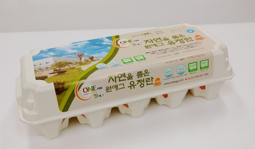 홍선생미술, 원에그 초생란으로 행복한 여름나기 - 1