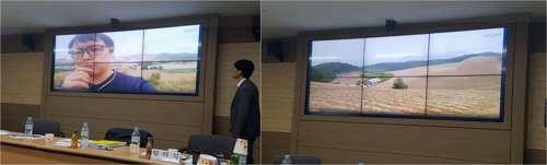 화상회의로 고랭지배추 생육 점검
