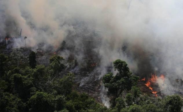 아마존 열대우림 지역의 울창한 수목이 불에 타고 있다. [브라질 일간지 글로부]