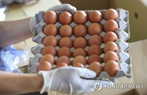 인천공항에 도착한 태국산 계란 샘플 [연합뉴스 자료사진]