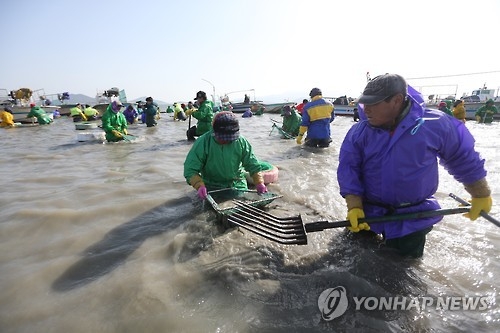 개불잡이