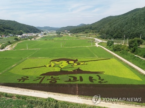 연합뉴스 자료 사진