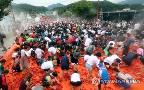 6일 화천토마토축제 모습