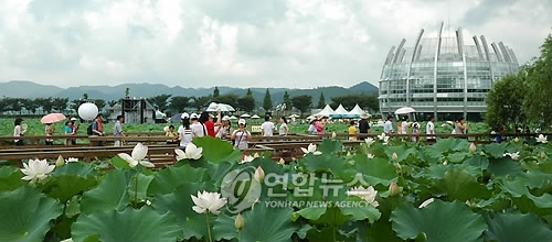 연꽃축제