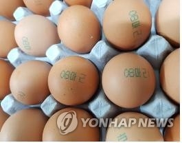 살충제 검출 농장 계란[연합뉴스 자료사진]
