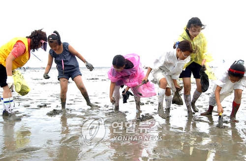 부안 갯벌[연합뉴스 자료사진
