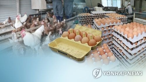 새로운 살충제 진드기용 '에톡사졸' 첫 확인…대전 달걀서 검출(종합) - 1