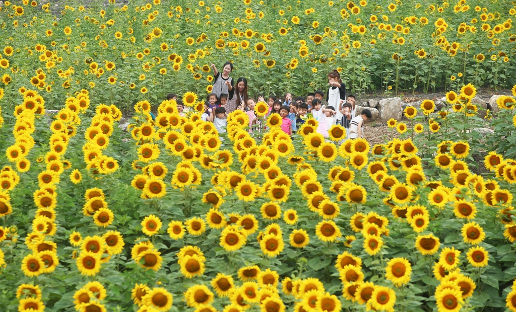 경남 함양플리커 사진테마파크