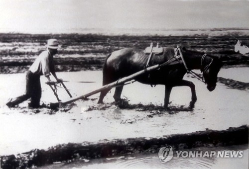 카자흐스탄서 농사짓는 고려인