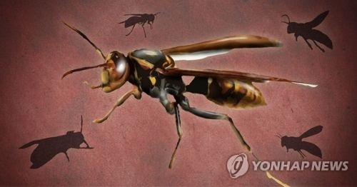 말벌