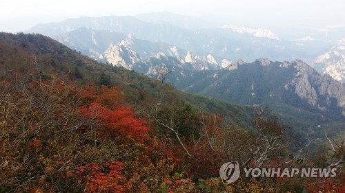 단풍으로 물들기 시작한 설악산