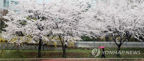 율하 카페거리 앞 율하천