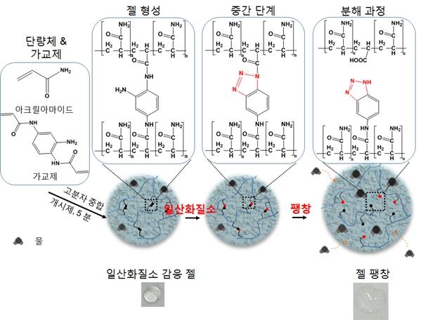 일산화질소에 선택적으로 반응하는 하이드로젤의 화학 구조