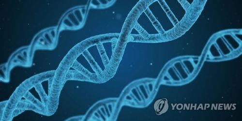DNA [연합뉴스 자료사진]