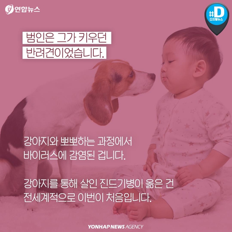 [카드뉴스] "반려견과 뽀뽀한 남성, 살인진드기병에 걸렸다" - 3