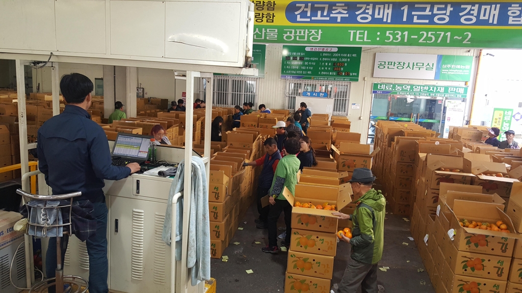 생감 경매
