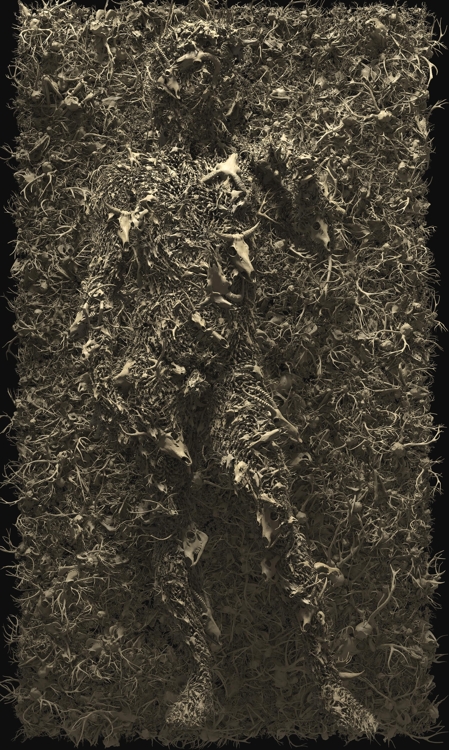 김두진, 다비드, 3D 디지털 회화, 300x180cm, 2015~2017