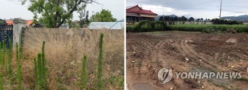 올해 처음 이뤄진 춘천 빈집 정비사업 전(왼쪽)과 후 모습(연합뉴스 자료사진)