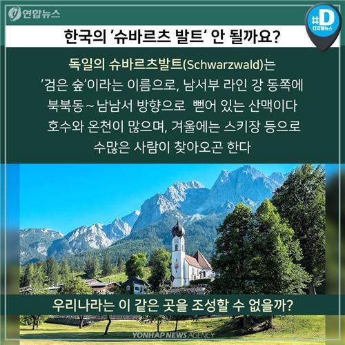 [카드뉴스] 새해맞이 나들이 '숲속의 전남' 어떨까요? - 5