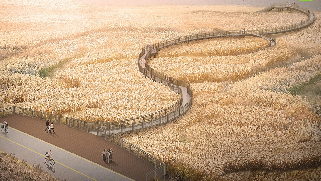 신성리 갈대밭 정비 조감도